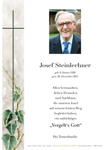 Parte von Josef Steinlechner
