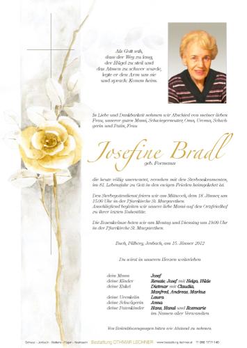 Parte von Josefine Bradl