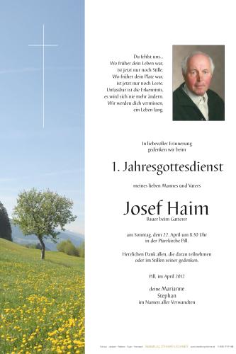 Parte von Josef Haim