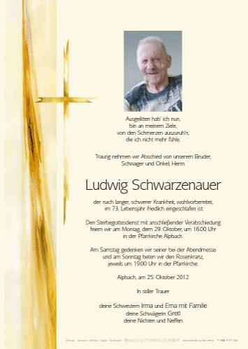 Parte von Ludwig Schwarzenauer