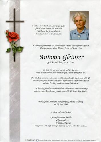 Parte von Antonia Gleinser