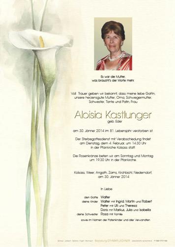 Parte von Aloisia Kastlunger