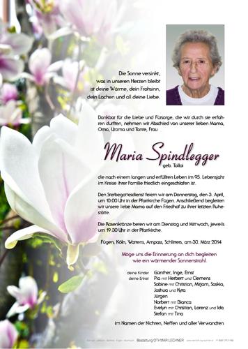 Parte von Maria Spindlegger