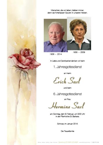 Parte von Erich Saxl