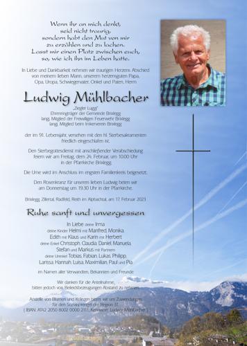 Parte von Ludwig Mühlbacher