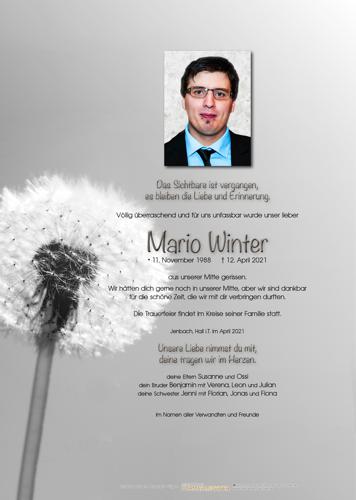 Parte von Mario Winter