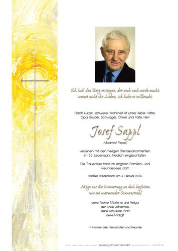 Parte von Josef Sappl