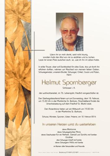 Parte von Helmut Spornberger