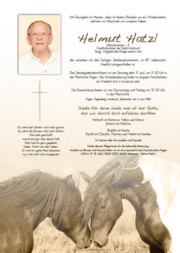Parte von Helmut Hatzl