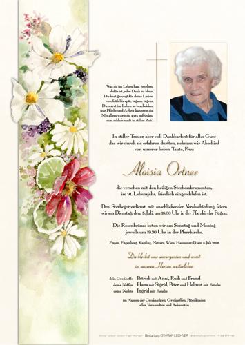 Parte von Aloisia Ortner