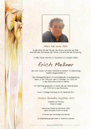 Parte von Erich Me%C3%9Fner