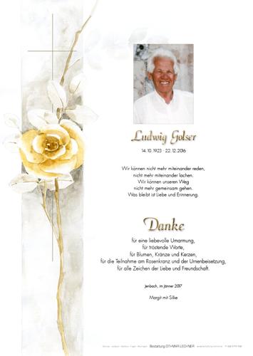 Parte von Ludwig Golser