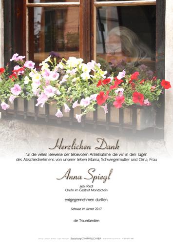 Parte von Anna Spiegl