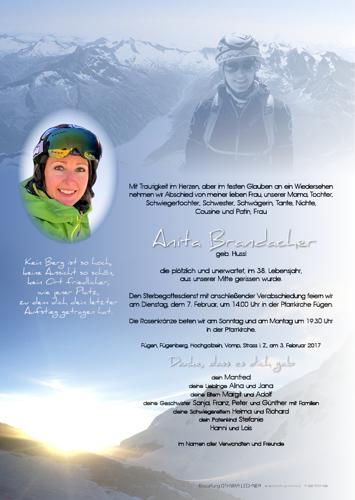Parte von Anita Brandacher
