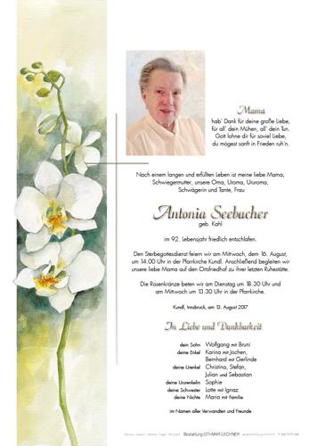 Parte von Antonia Seebacher