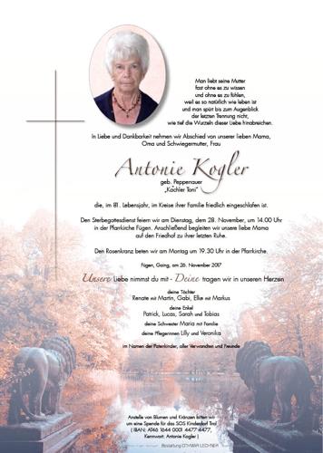Parte von Antonie Kogler