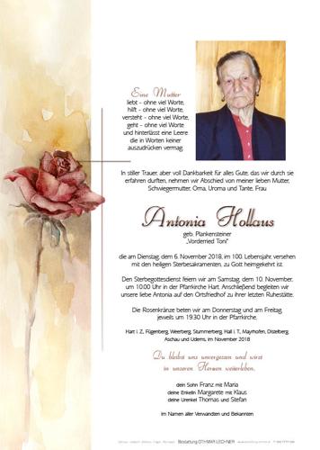 Parte von Antonia Hollaus