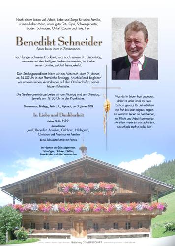 Parte von Benedikt Schneider
