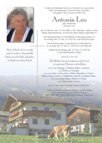 Parte von Antonia Leo