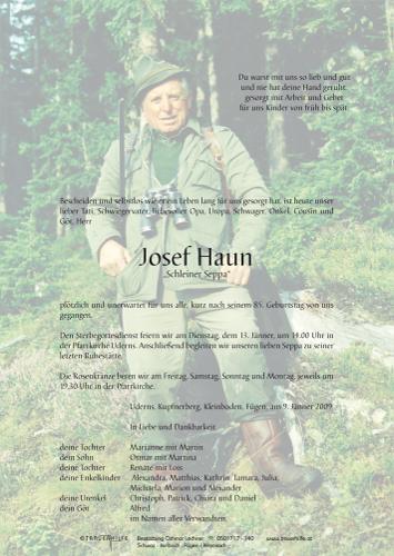 Parte von  Haun Josef Herr