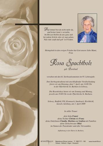Parte von  Spachtholz Rosa Frau