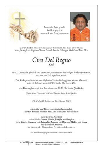 Parte von  Del Regno Ciro Herr