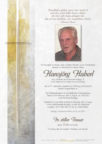 Parte von Hansjörg Haberl