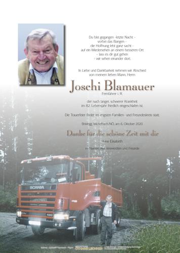 Parte von Josef Blamauer